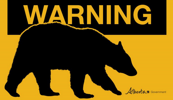 Staying bear safe on your elopement in the Canadian Rockies